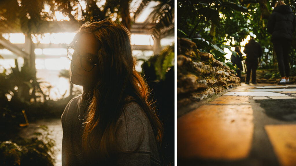 Senior artistic photo diptych grainy and detail images